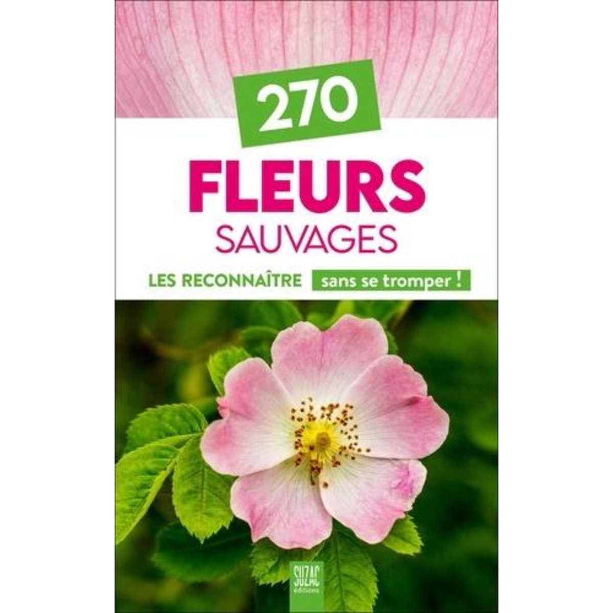 270 FLEURS SAUVAGES. LES RECONNAITRE SANS SE TROMPER !, Suzac