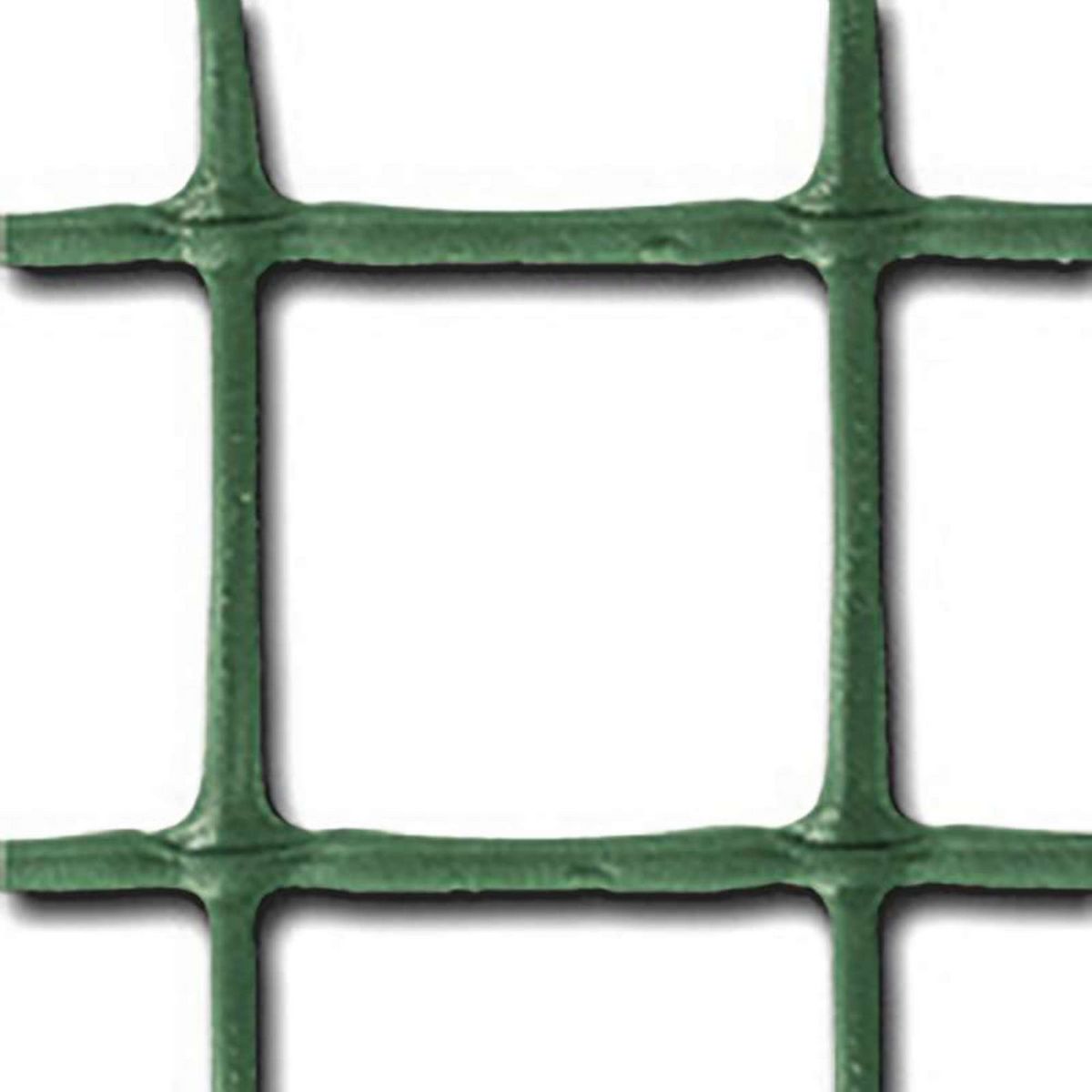 Tenax Grillage pour plante grimpante  Taille 1 x 5 m