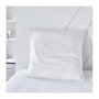 Voir la diapositive 1 : Today Protege oreiller absorbant - TODAY - Essential - 60 x 60 cm - Anti-acarien