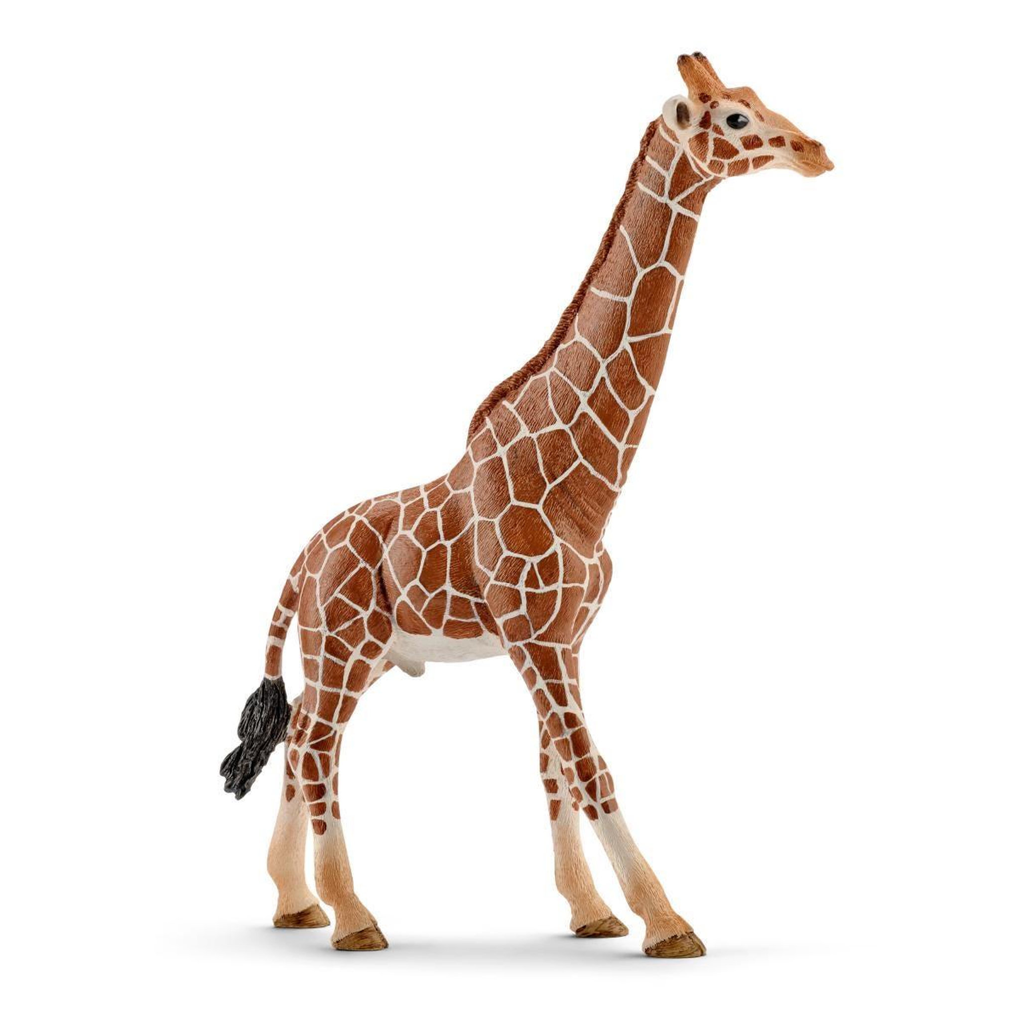 Voir la diapositive 2 : Schleich Schleich Figurine 14749 - Animal de la savane - Girafe mâle