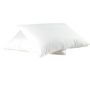 Voir la diapositive 2 : DODO Lot de 2 Oreillers Moelleux en polyester Anti-Acariens 500gm/2 MAISON 