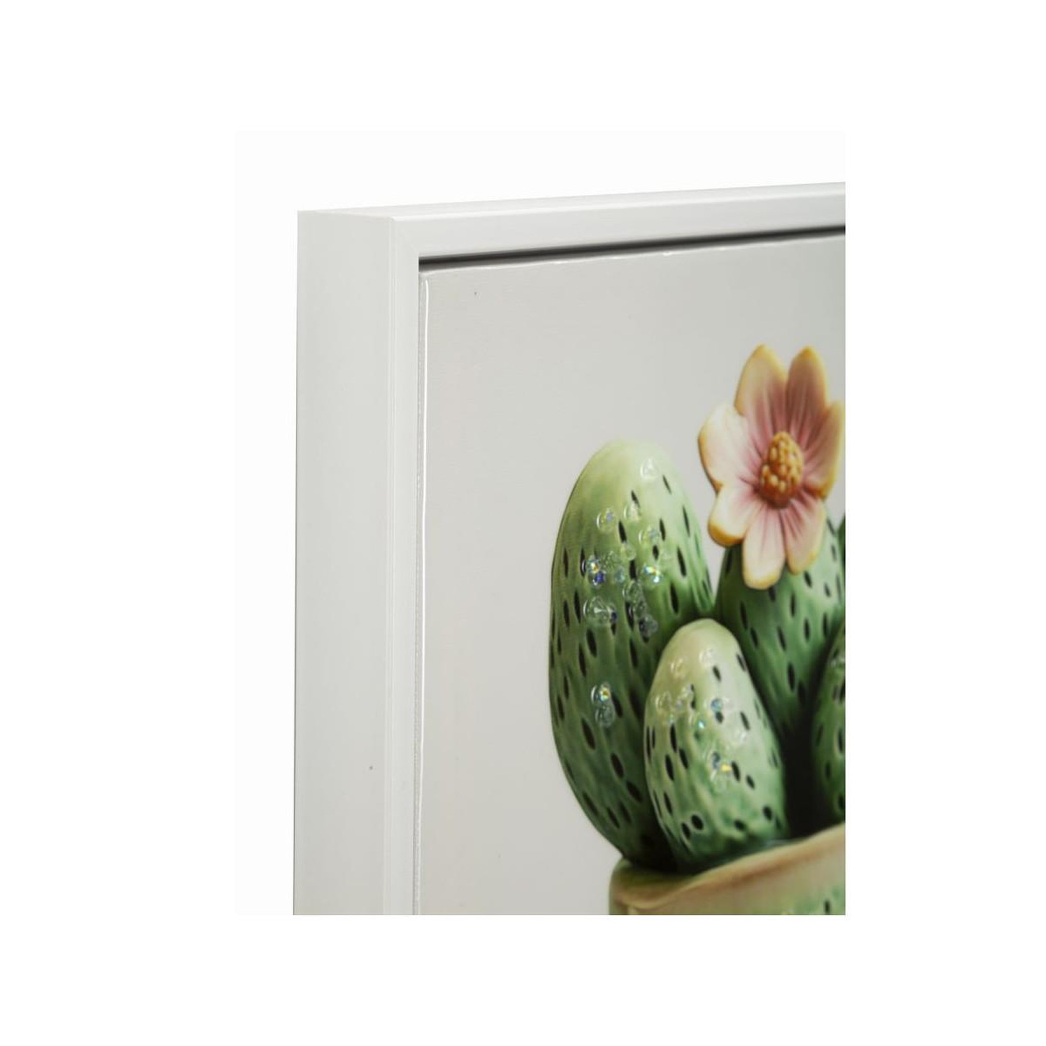 Voir la diapositive 2 : Paris Prix Tableau imprimé  cactus i  40x40cm multicolore