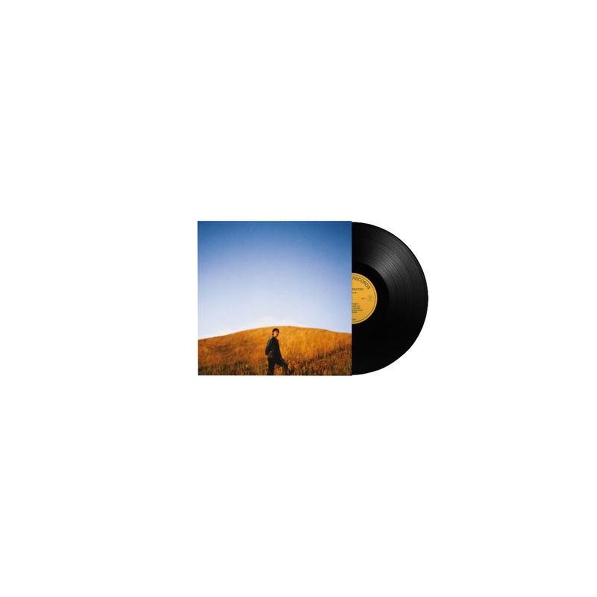 Sam burton - dear departed en vinyle 33t noir, rock indépendant (lp 1 disque)
