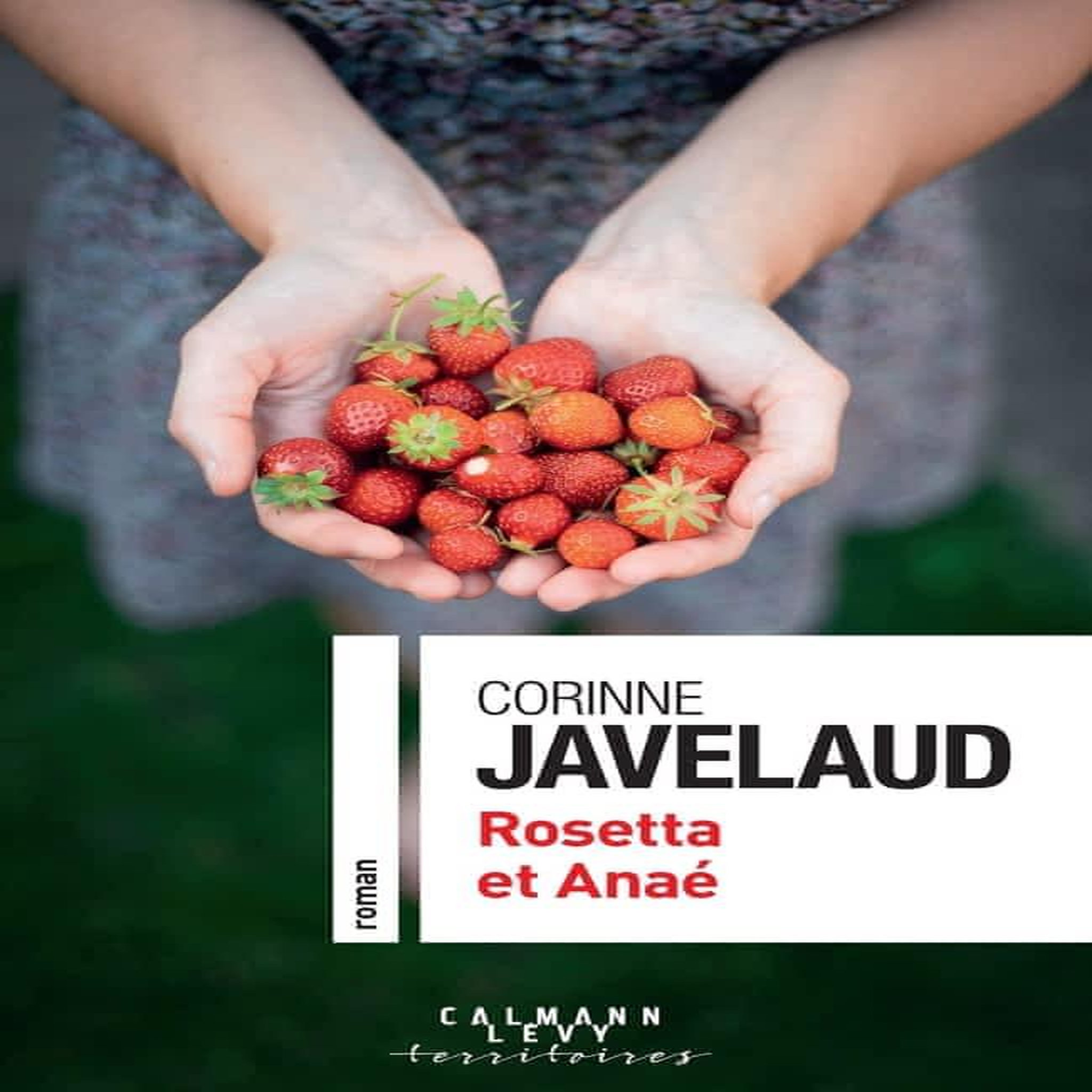 ROSETTA ET ANAE, Javelaud Corinne
