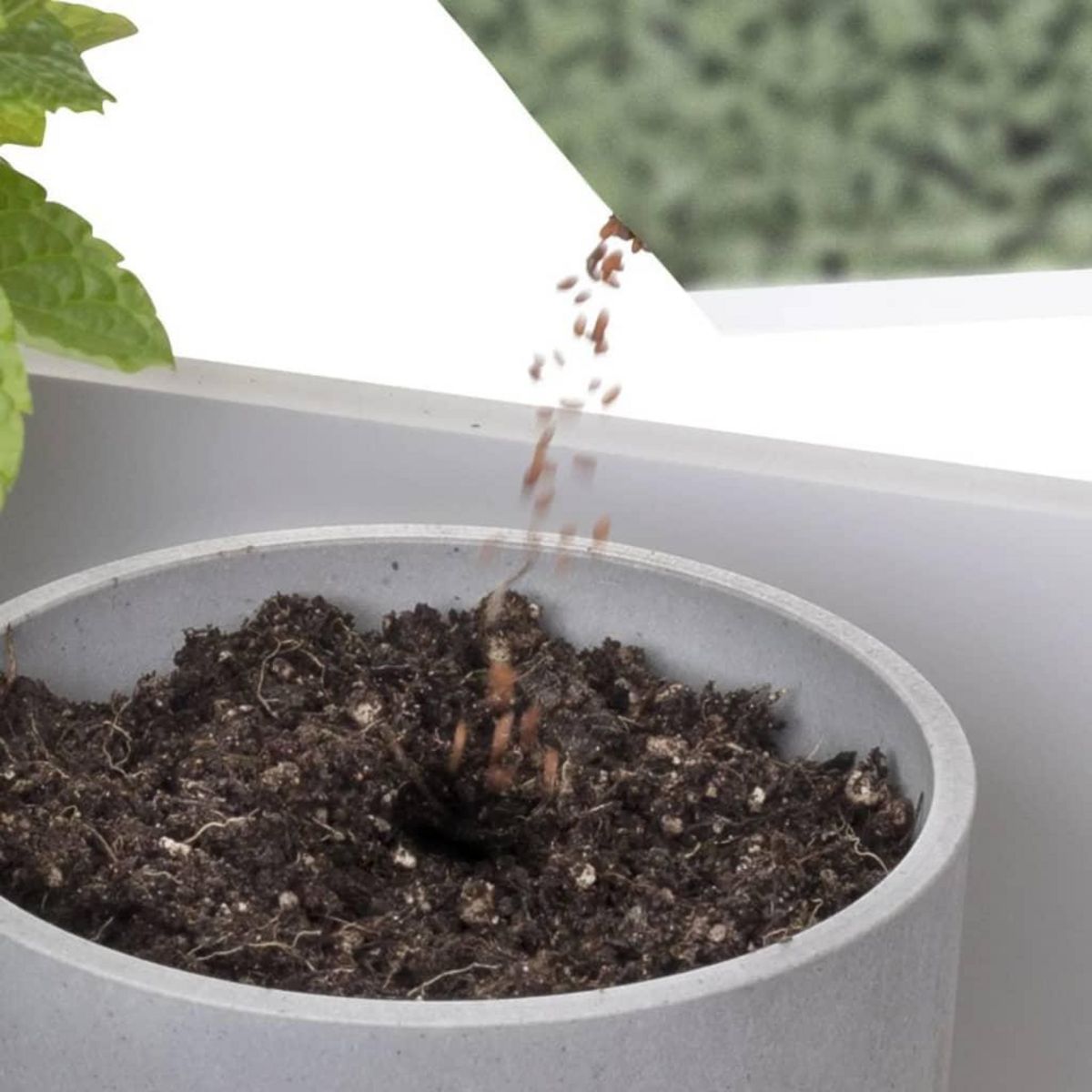 Smartwares Smartwares Lampe de culture de jardin a LED 9 W Blanc