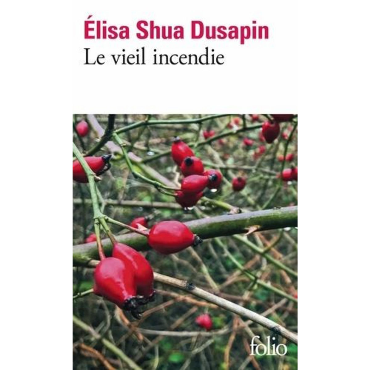 LE VIEIL INCENDIE, Dusapin Elisa Shua