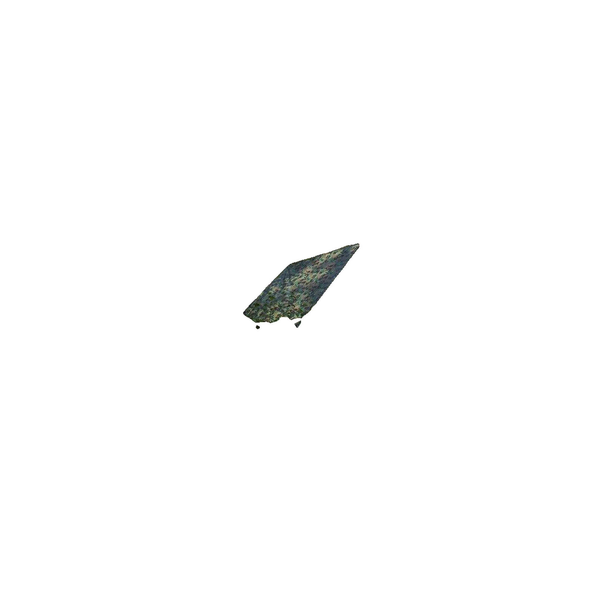 Voir la diapositive 3 : BROS Tarp Bradas camoforest 10x15m 90g camouflage