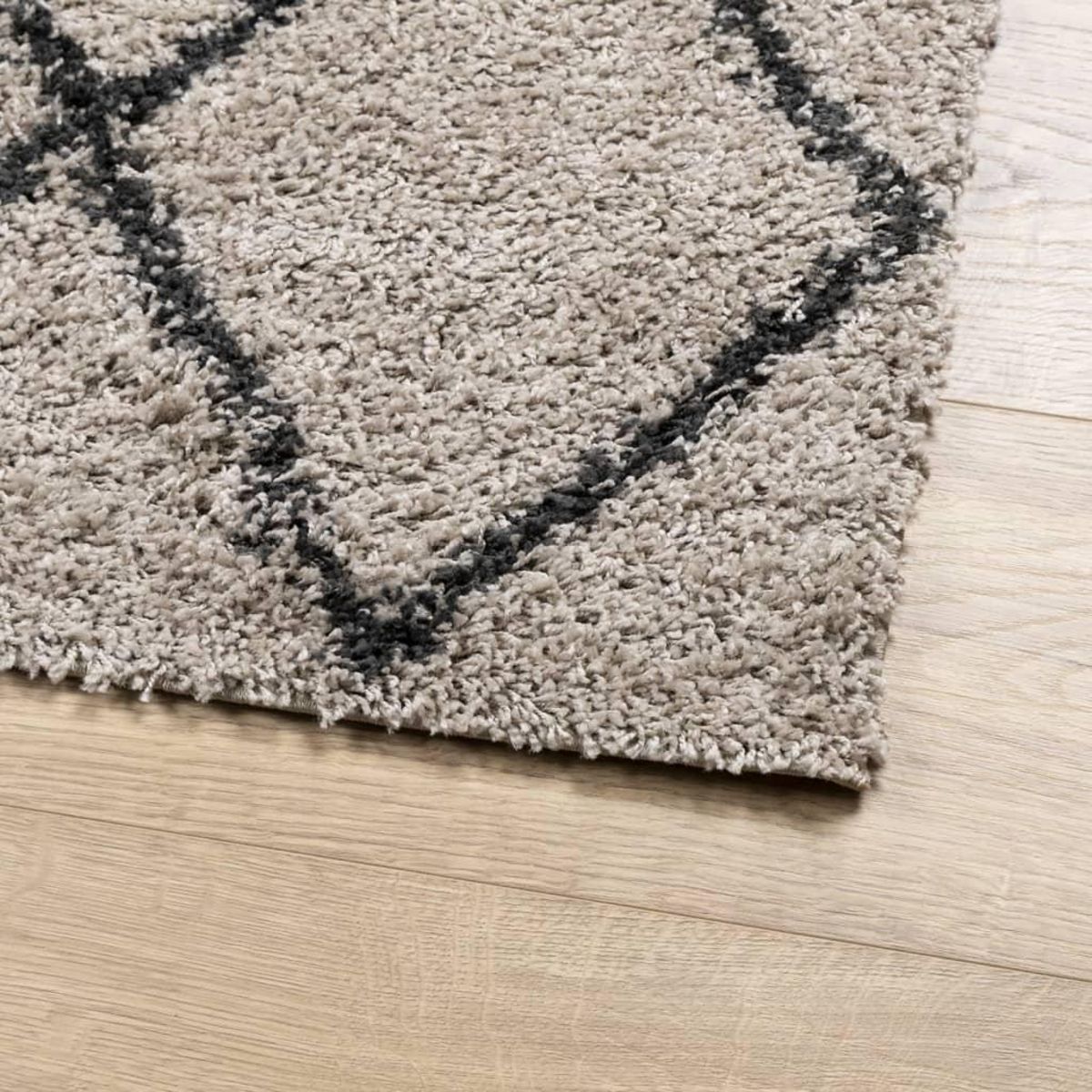 VIDAXL Tapis shaggy a poils longs moderne beige anthracite 80x150 cm