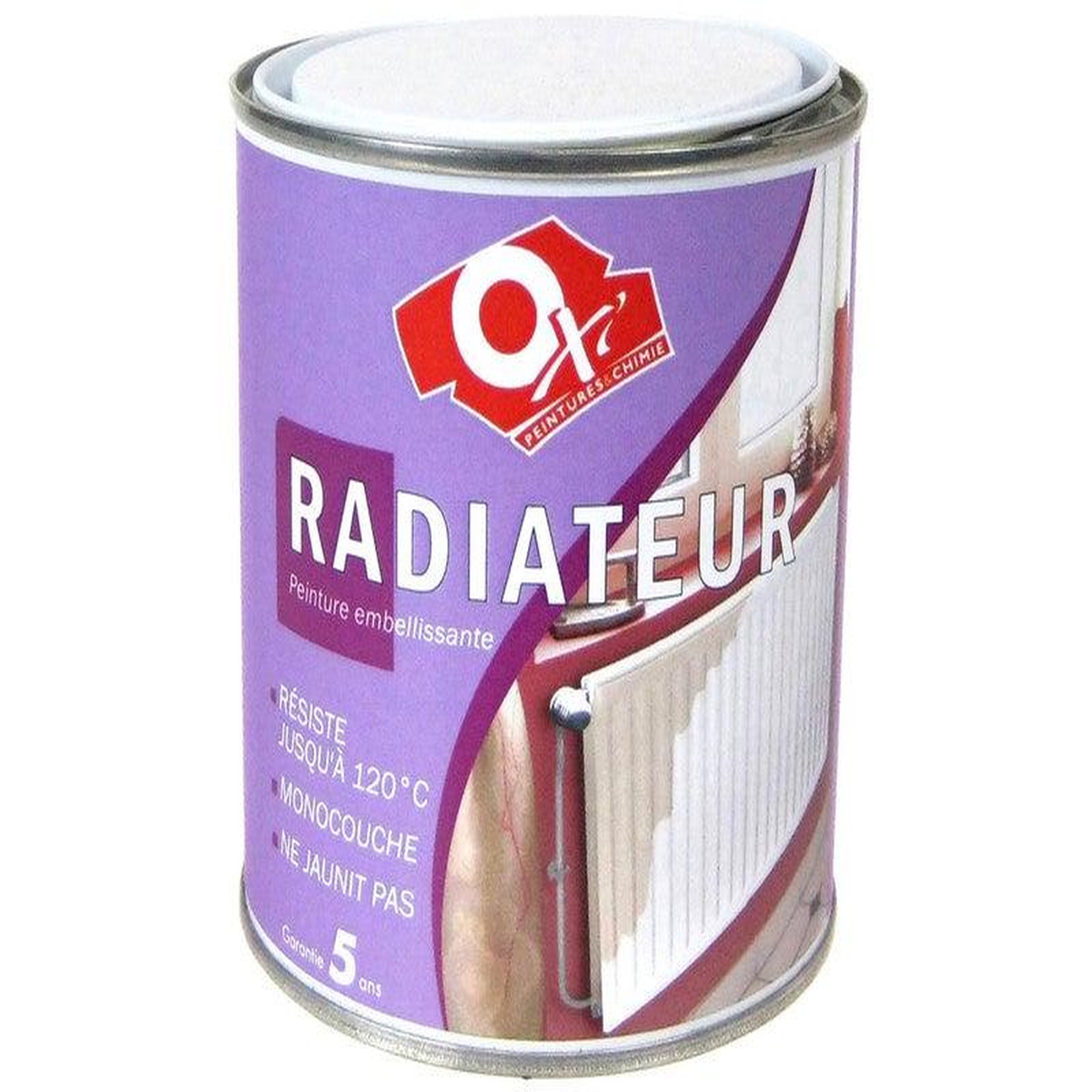 CENTRALE BRICO Peinture Blanche Radiateur Brillant 0L5