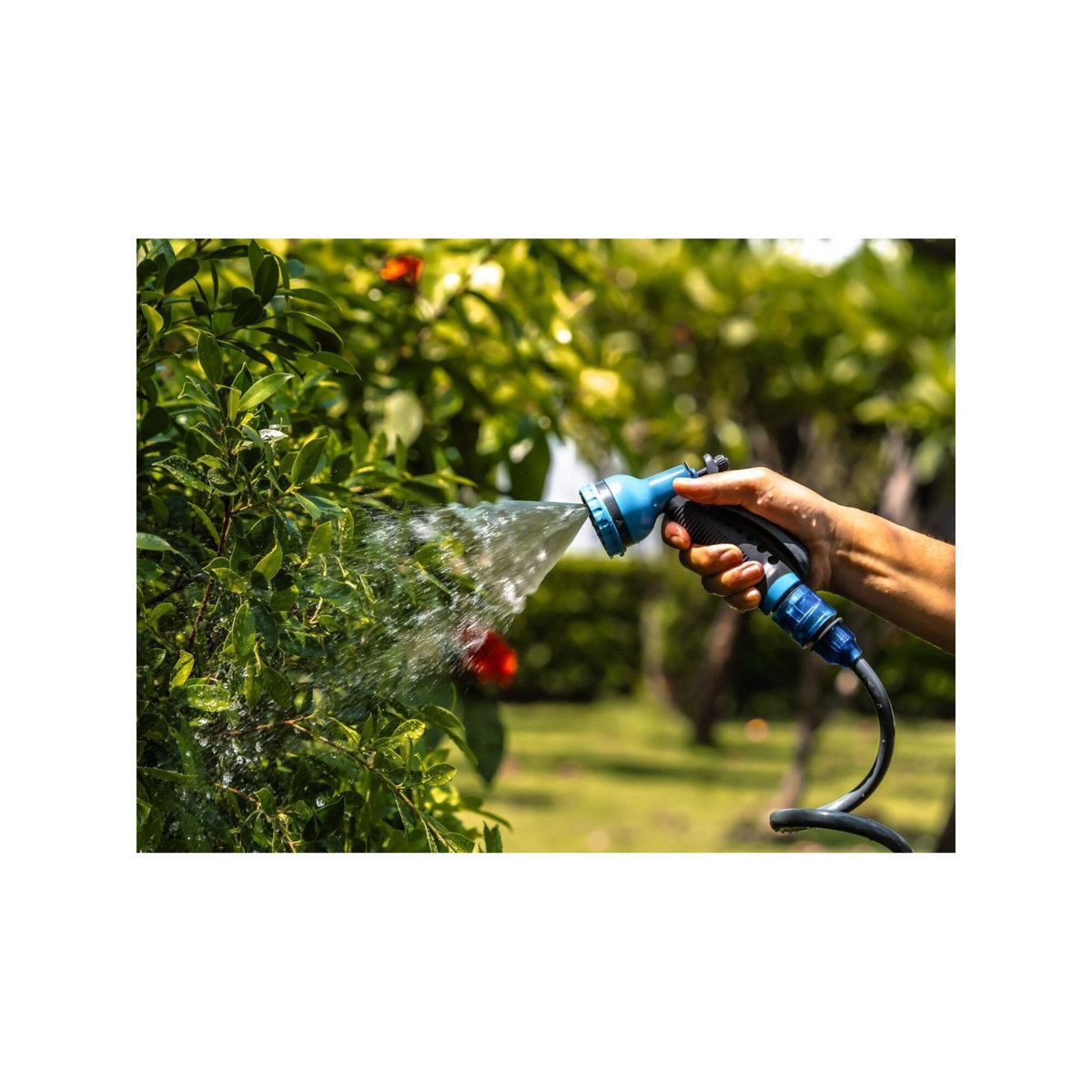 SUAN Tuyau d'arrosage flexible - Suan - Kit complet avec accessoires - Longueur : 10m