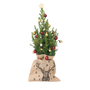 Voir la diapositive 1 : PLANT IN A BOX Mini-sapin avec sac-en-jute - Picea glauca Conica - 55-65cm - ⌀15cm