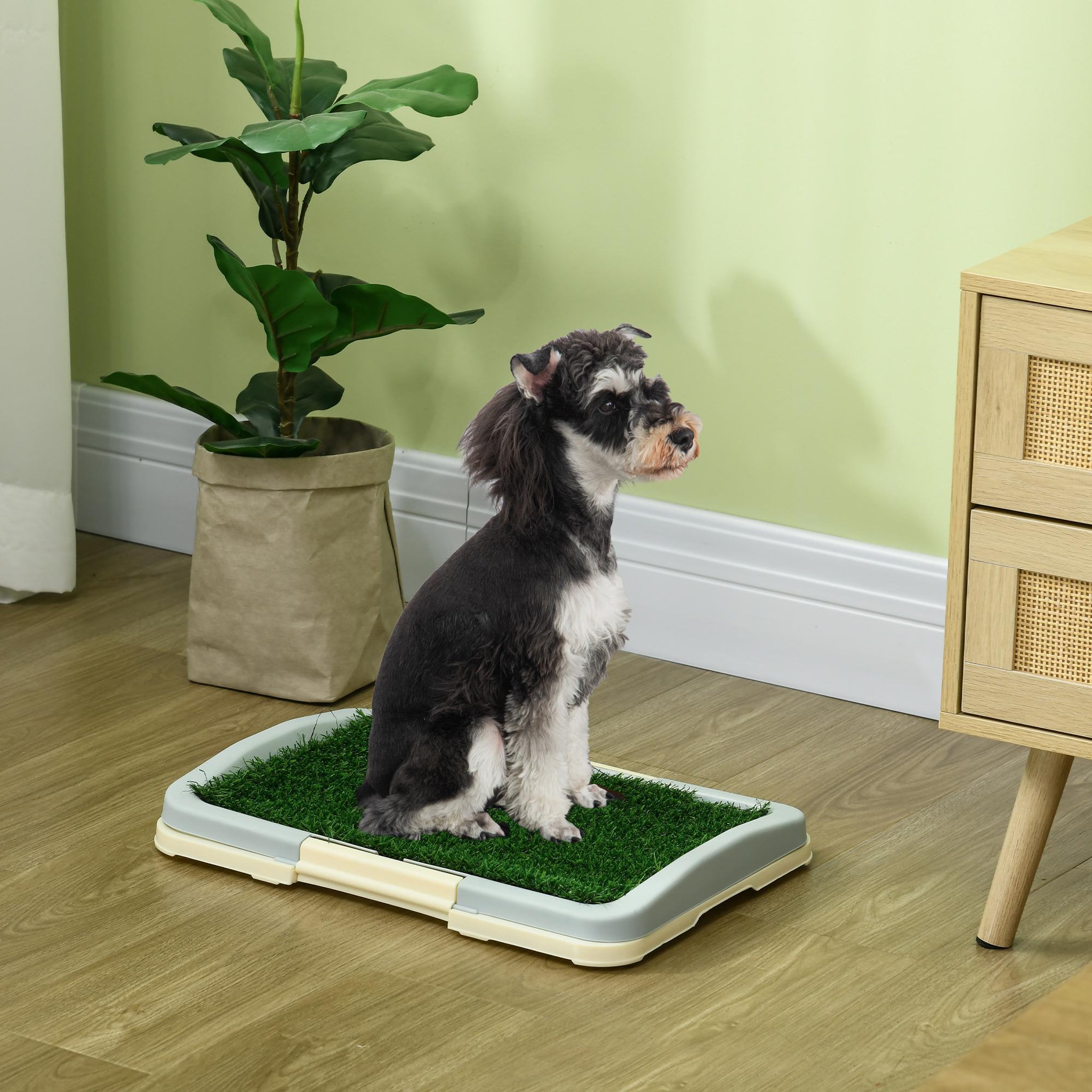 Voir la diapositive 2 : PAWHUT Litière gazon synthétique chien toilette portable à pelouse tiroir à déjection crème bleu gris