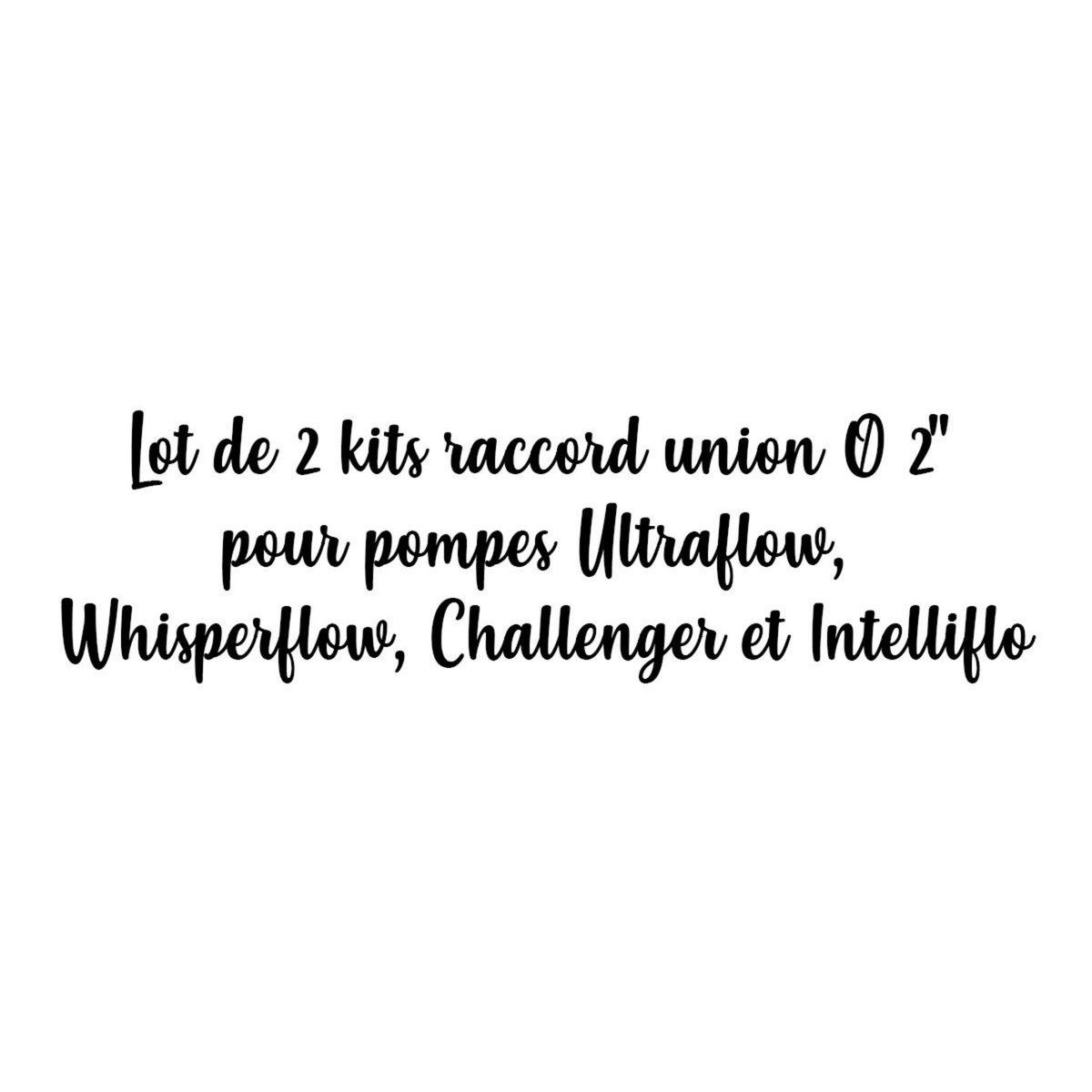 Pentair Lot de 2 kits raccord union Ø 2  pour pompes Ultraflow, Whisperflow, Challenger et Intelliflo - Pentair