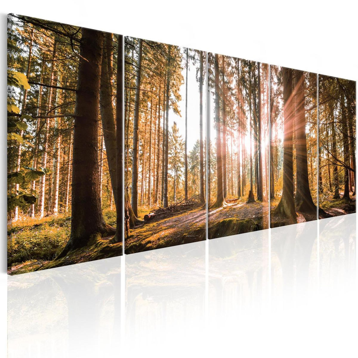 Paris Prix Tableau Imprimé  Beauty of Nature