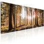 Voir la diapositive 1 : Paris Prix Tableau Imprimé  Beauty of Nature