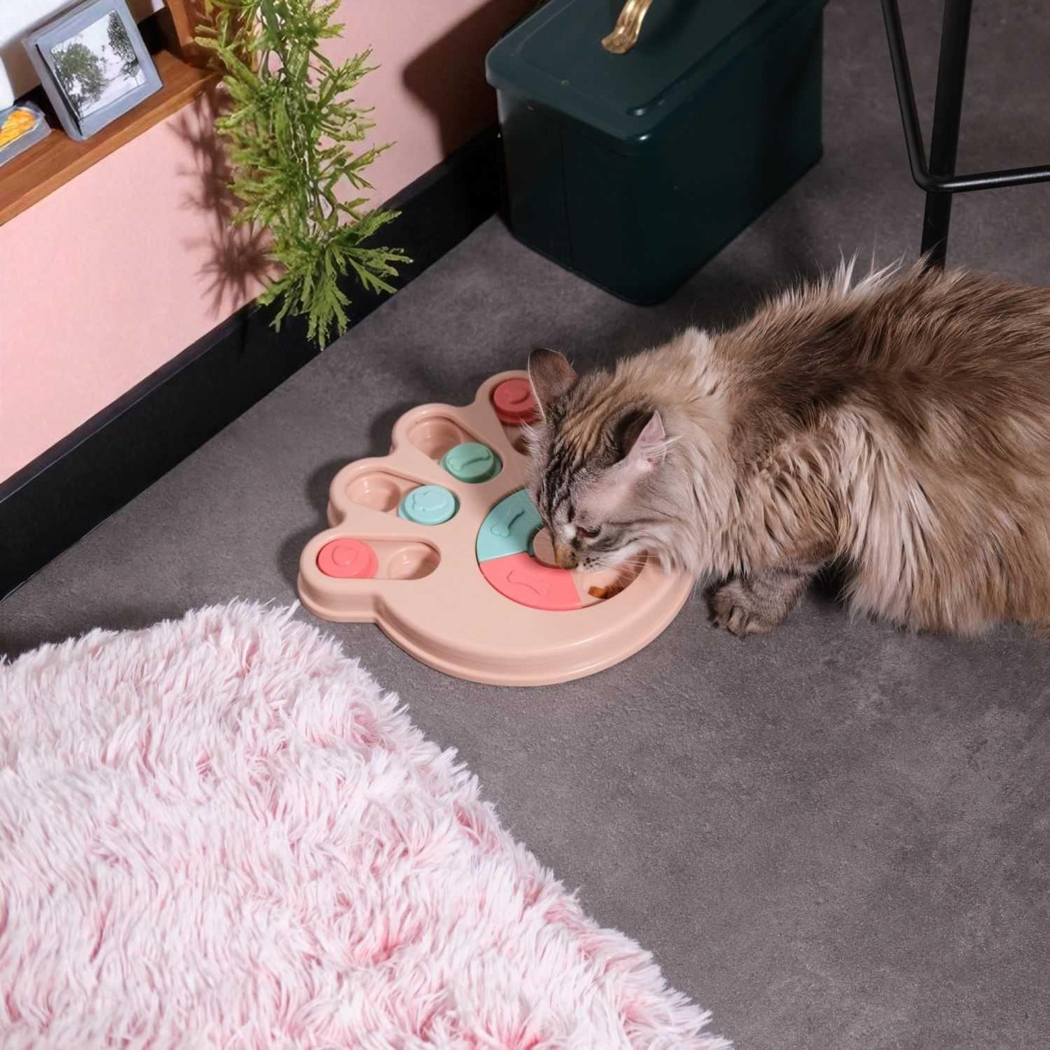 Voir la diapositive 3 : The concept Factory Jeu d'intelligence pour chien et chat