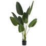 Voir la diapositive 1 : Paris Prix Plante Artificielle en Pot  Strelitzia  165cm Vert