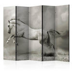 Paris Prix Paravent 5 Volets  Wild Stallion  172x225cm