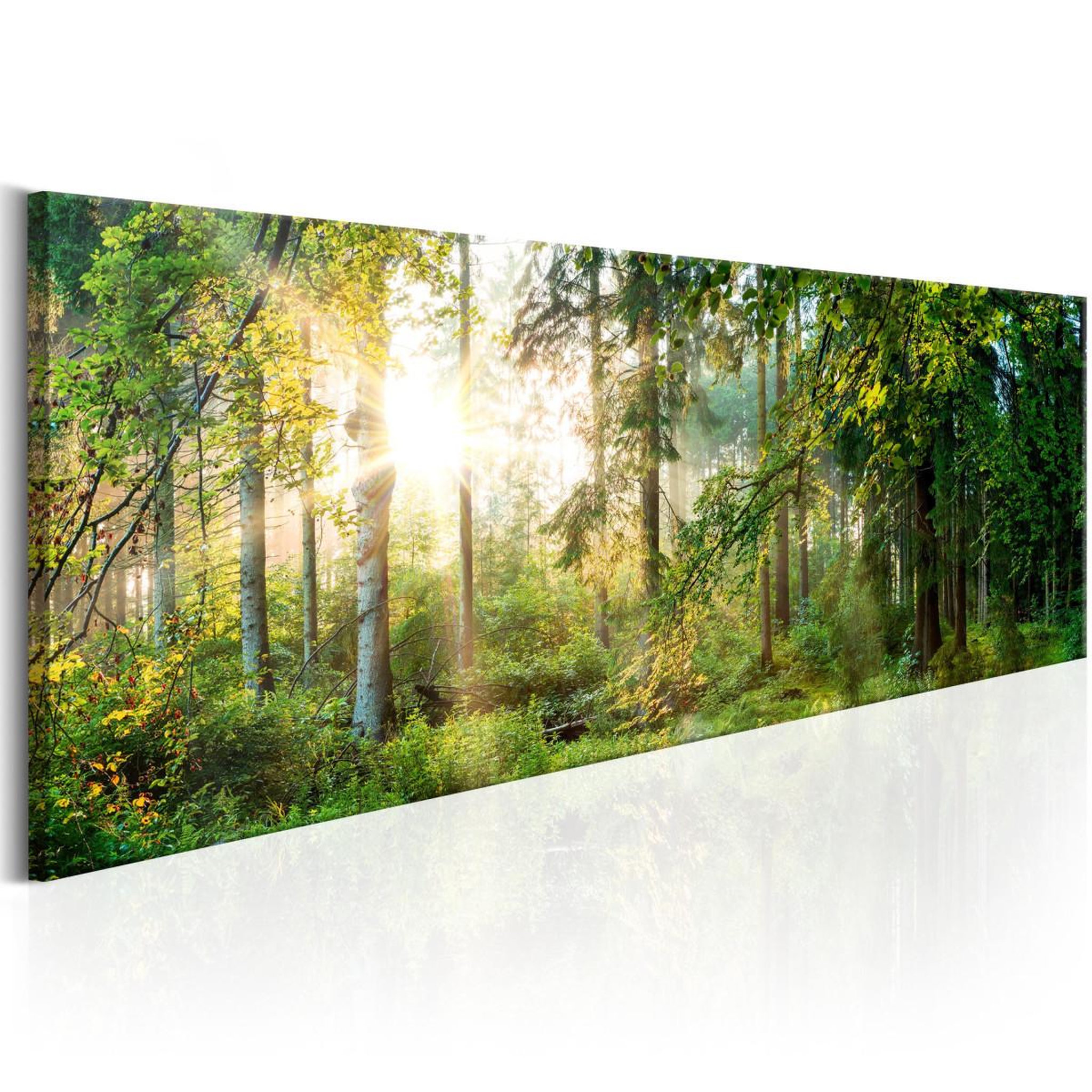 Voir la diapositive 1 : Paris Prix Tableau Imprimé  Forest Shelter