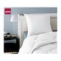 Voir la diapositive 2 : ABEIL ABEIL Lot de 2 Oreillers Anti-Acarien - 60 x 60 cm - Blanc