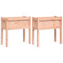 Voir la diapositive 2 : VIDAXL Jardinieres 2 pcs avec pieds bois massif douglas
