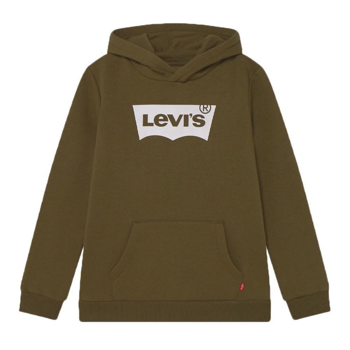 Levi's Sweat à Capuche  foncé Garçon Levi's Junior Batwing