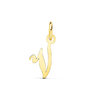Voir la diapositive 1 : L'ATELIER D'AZUR Pendentif Lettre  V  Or 750 Jaune - Chaine Offerte
