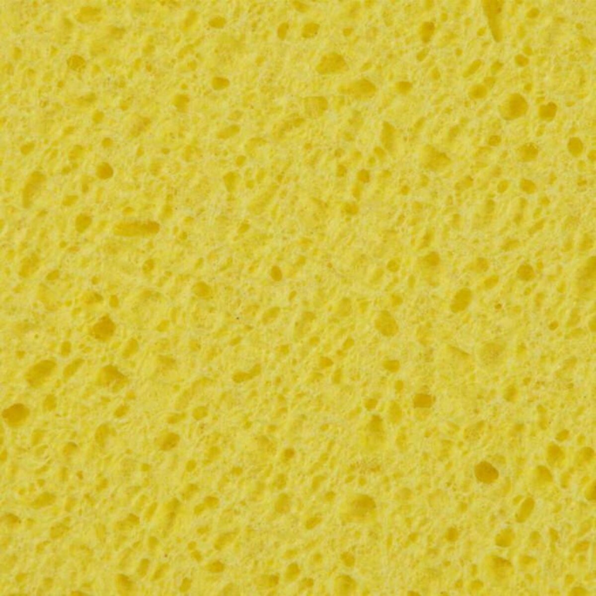 Paris Prix Lot de 4 Éponges  Multi-Usages  15cm Multicolore