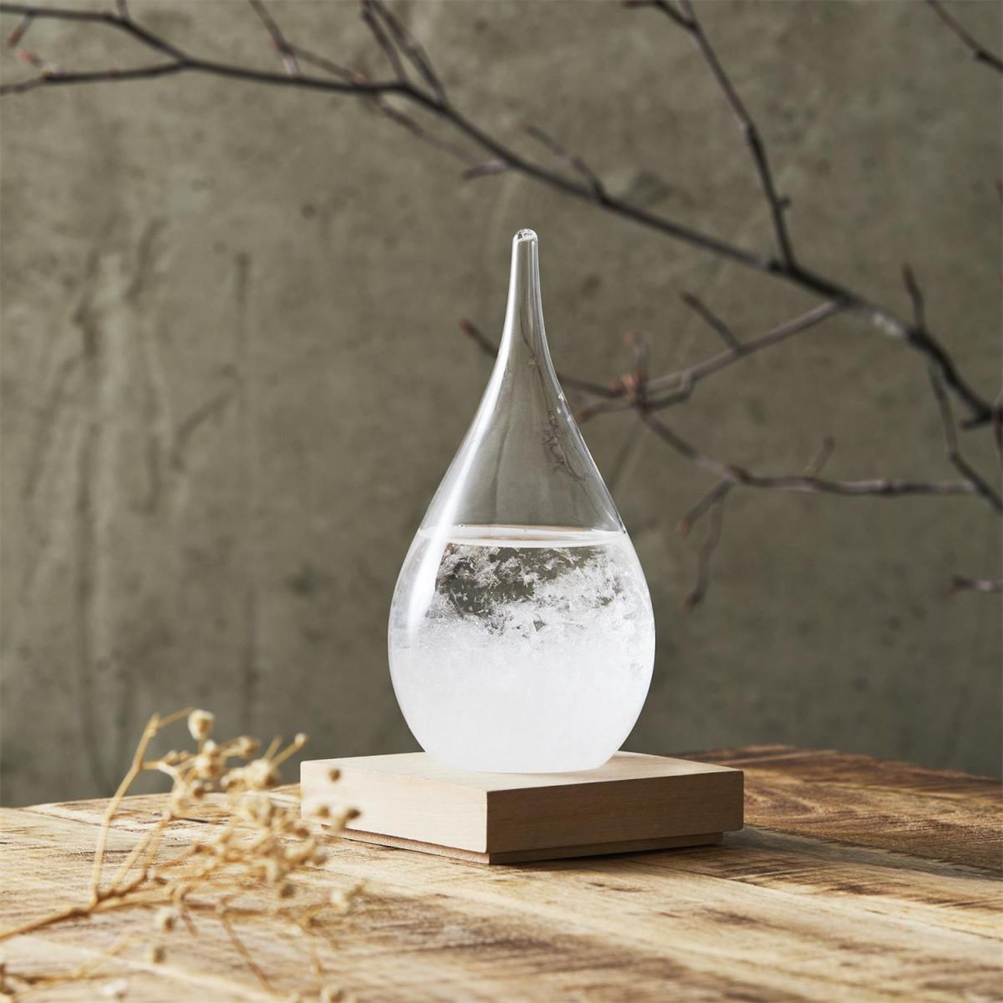 Voir la diapositive 4 : The Home Deco Factory Baromètre à cristaux  verre tempête  17cm transparent