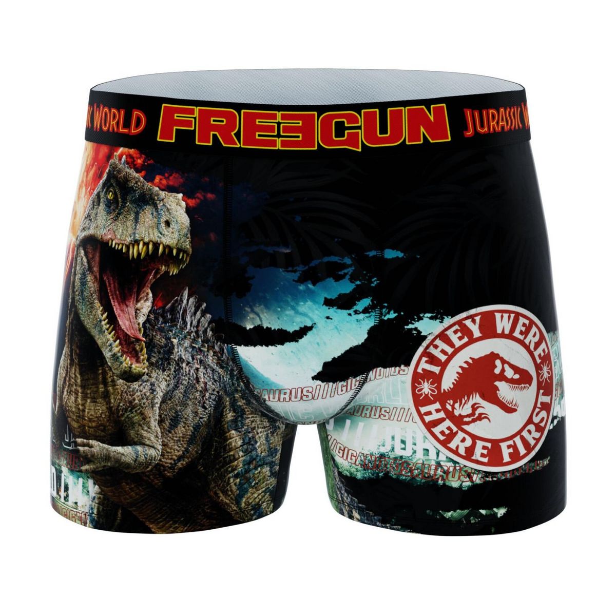 FREEGUN Lot de 4 boxers enfant Jurassic