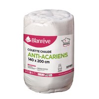 DODO Couette extra chaude polyester WarmMax 500 g/m² PRÊT POUR L