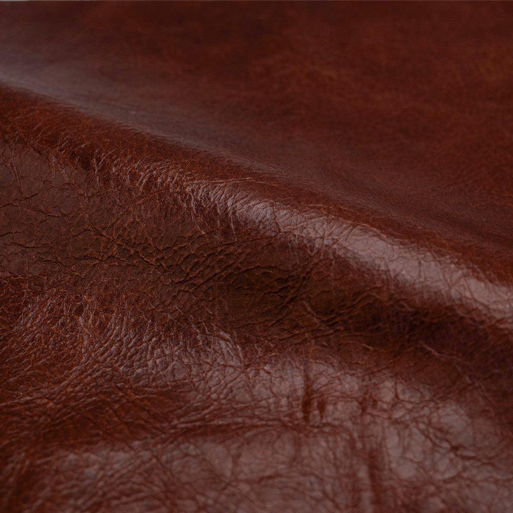 Voir la diapositive 3 : MAISON PAVANE Lot de 2 chaises en cuir de buffle marron rouge-célestin