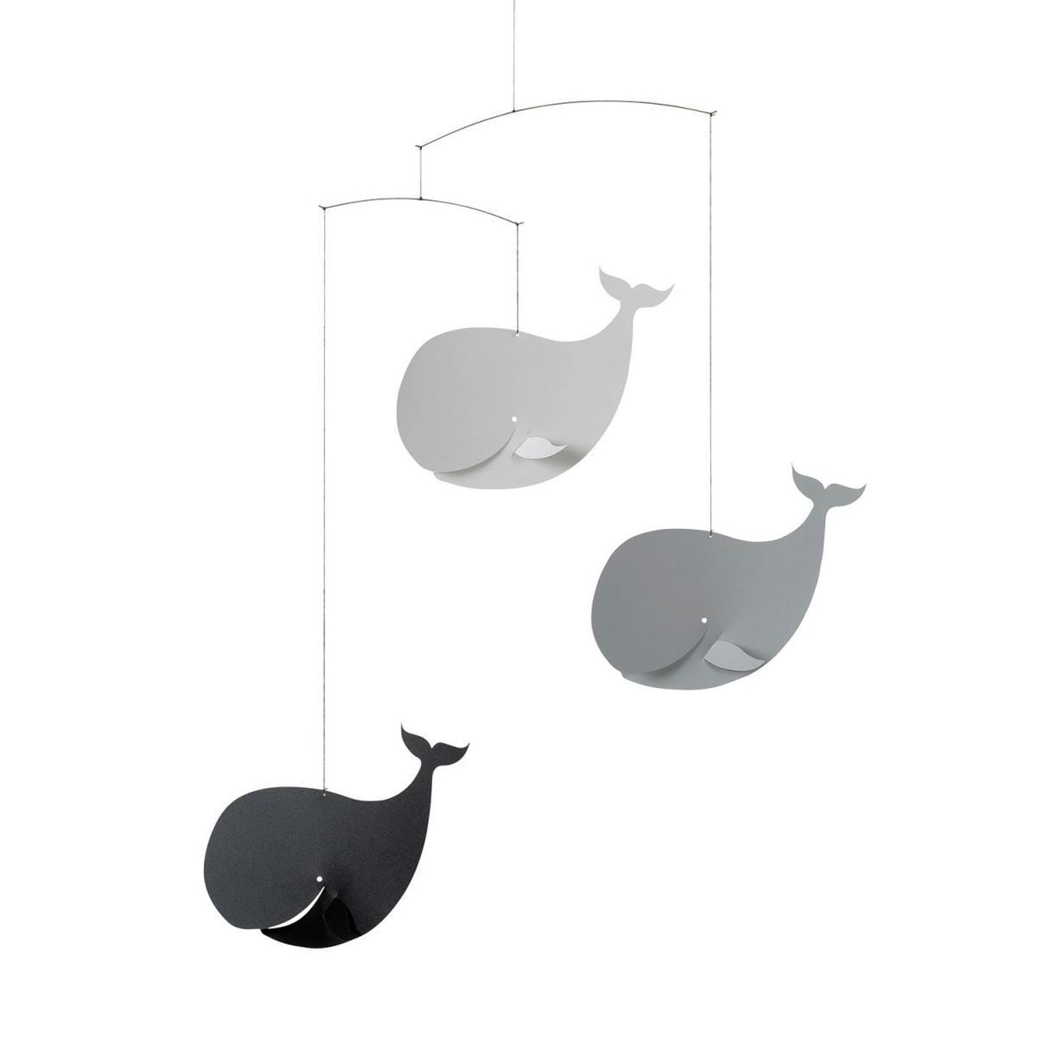 Flensted Baleines heureuses, noir