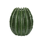 Paris Prix Vase Déco en Céramique  Cactus  31cm Vert