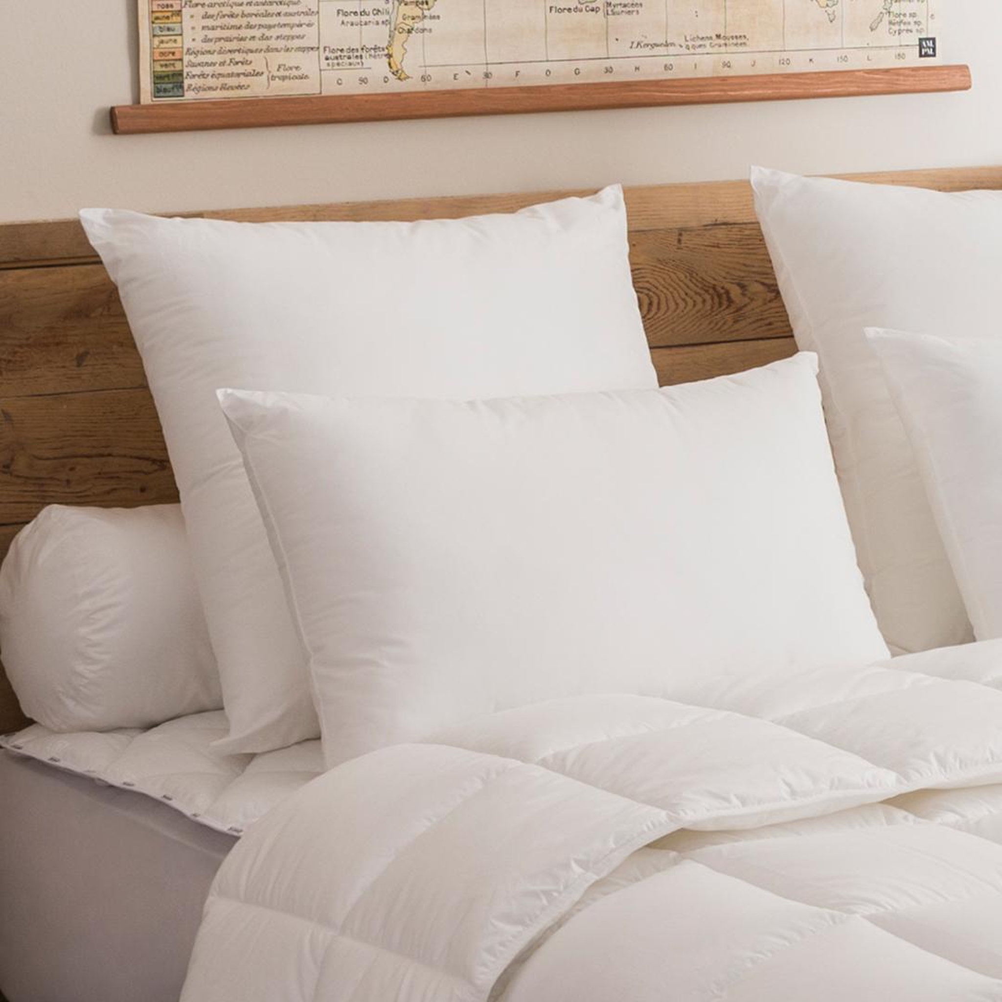 DODO Oreiller visco confort - medium. Coloris disponibles : Blanc
