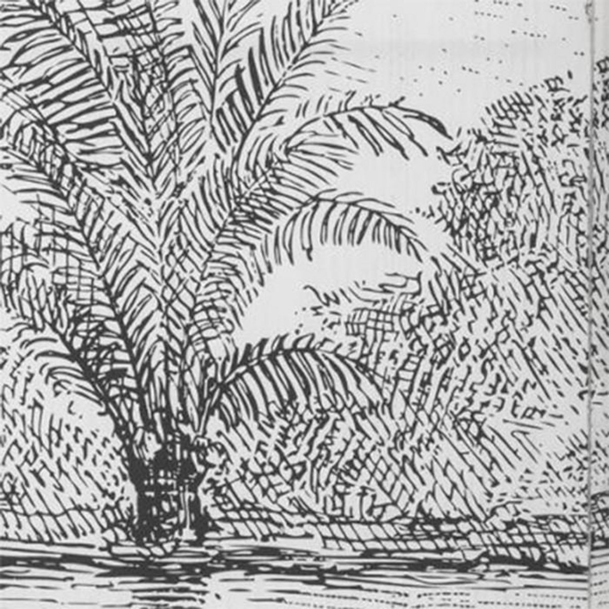 ATMOSPHERA Paravent Imprimé Design  Cuba  121x170cm Noir