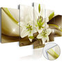 Voir la diapositive 1 : Paris Prix Tableau sur Verre Acrylique  Modern Lily