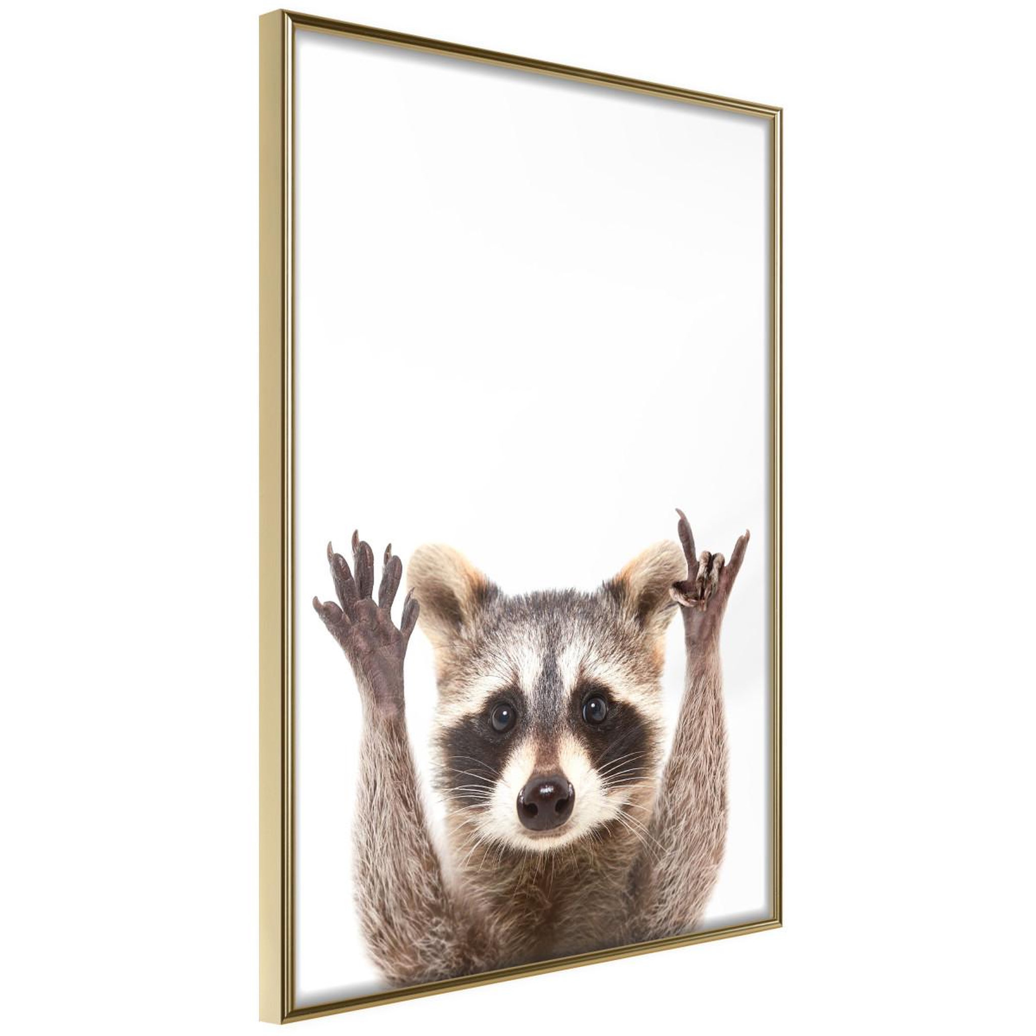 Voir la diapositive 1 : Paris Prix Affiche Murale Encadrée  Funny Racoon