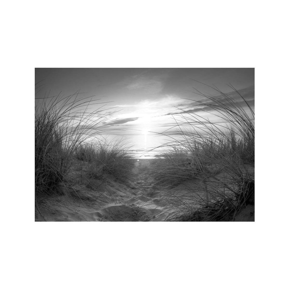 Paris Prix Papier Peint  Plage Noir & Blanc