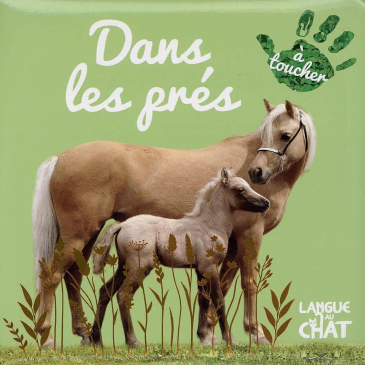 DANS LES PRES, Langue au chat