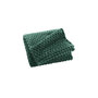 Voir la diapositive 1 : Paris Prix Plaid Flanelle en Relief  Mini Frosty  125x150cm Vert Cèdre