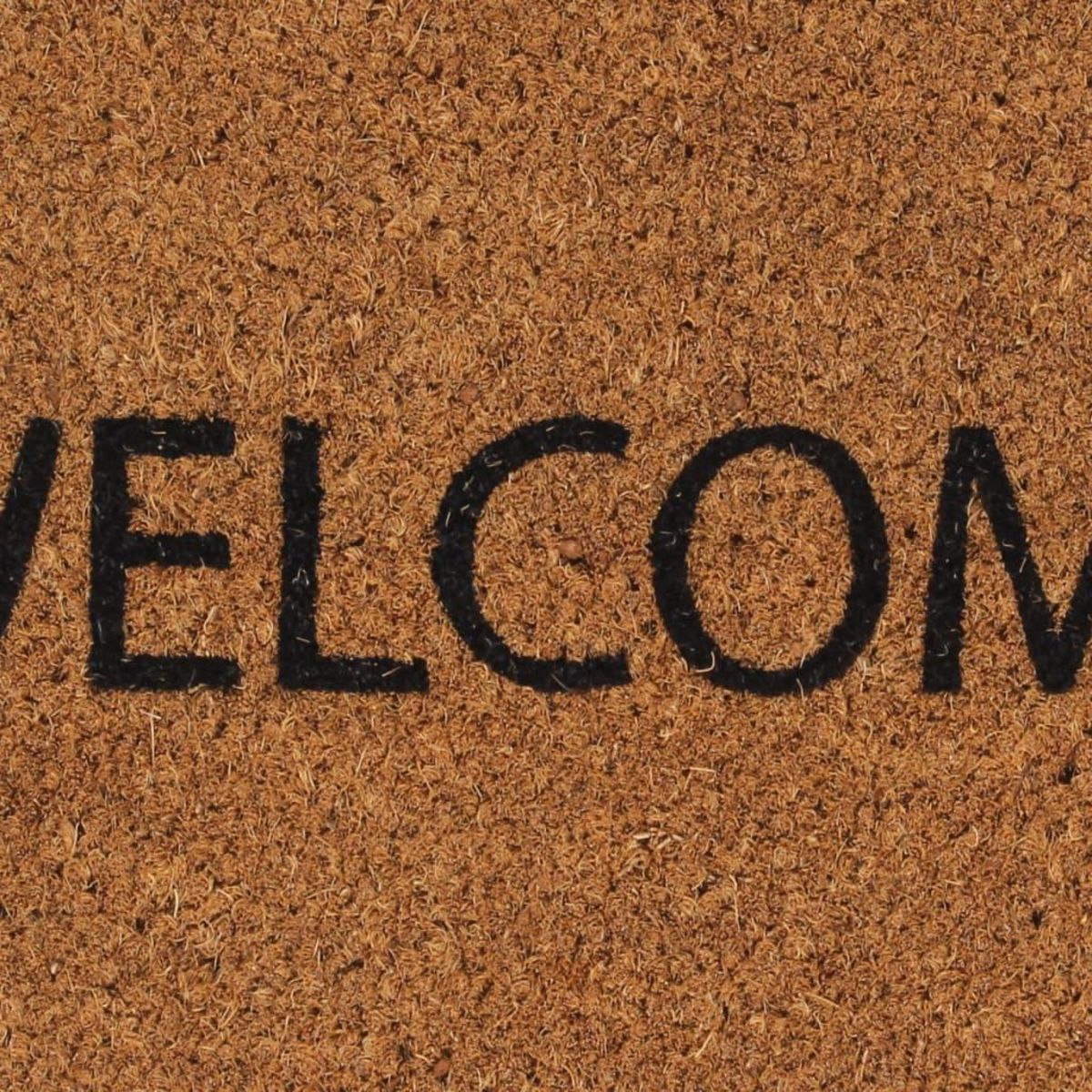 VIDAXL Tapis de porte naturel 45x75 cm fibre de coco touffete