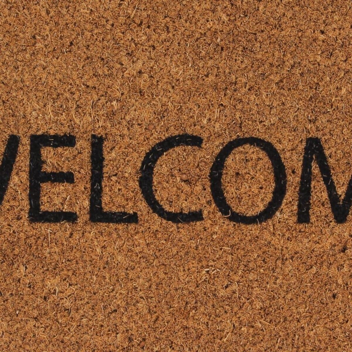 VIDAXL Tapis de porte naturel 45x75 cm fibre de coco touffete