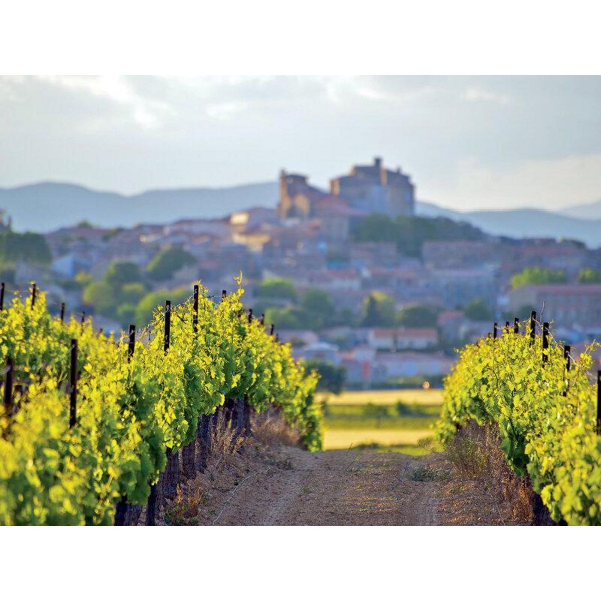 Smartbox Séjour œnologique et sortie culturelle - Coffret Cadeau Multi-thèmes