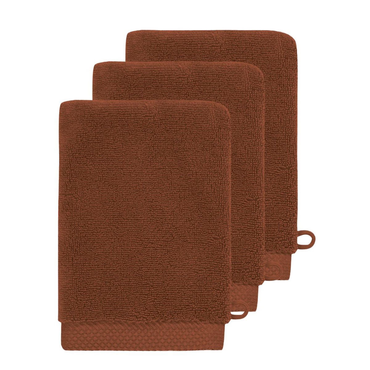 Sensei Maison 3 gants de toilette Zéro Twist 560 g/m² SENSOFT - 16x22 cm