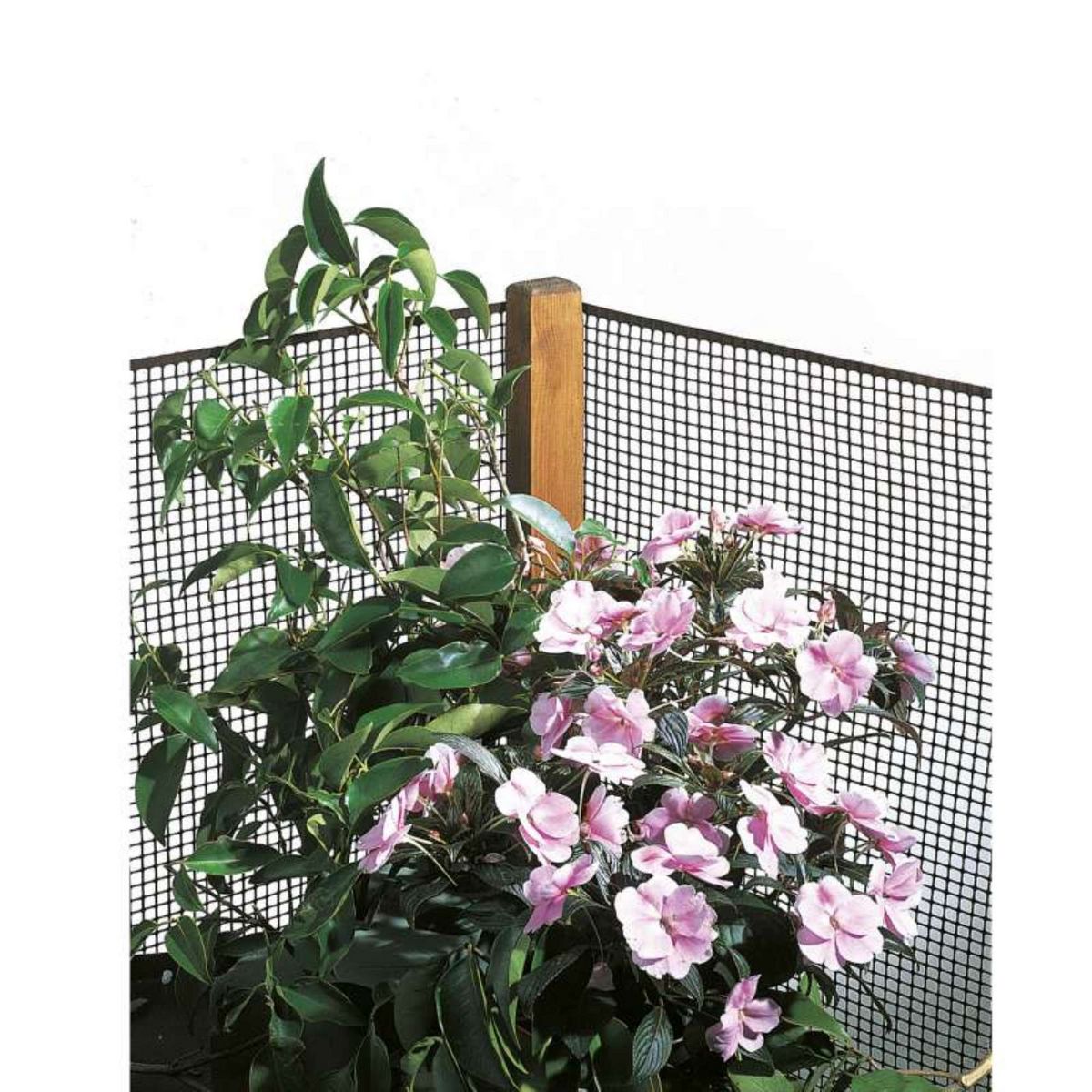 Tenax Grillage plastique vert 9x9 mm Taille 0,5 x 5 m