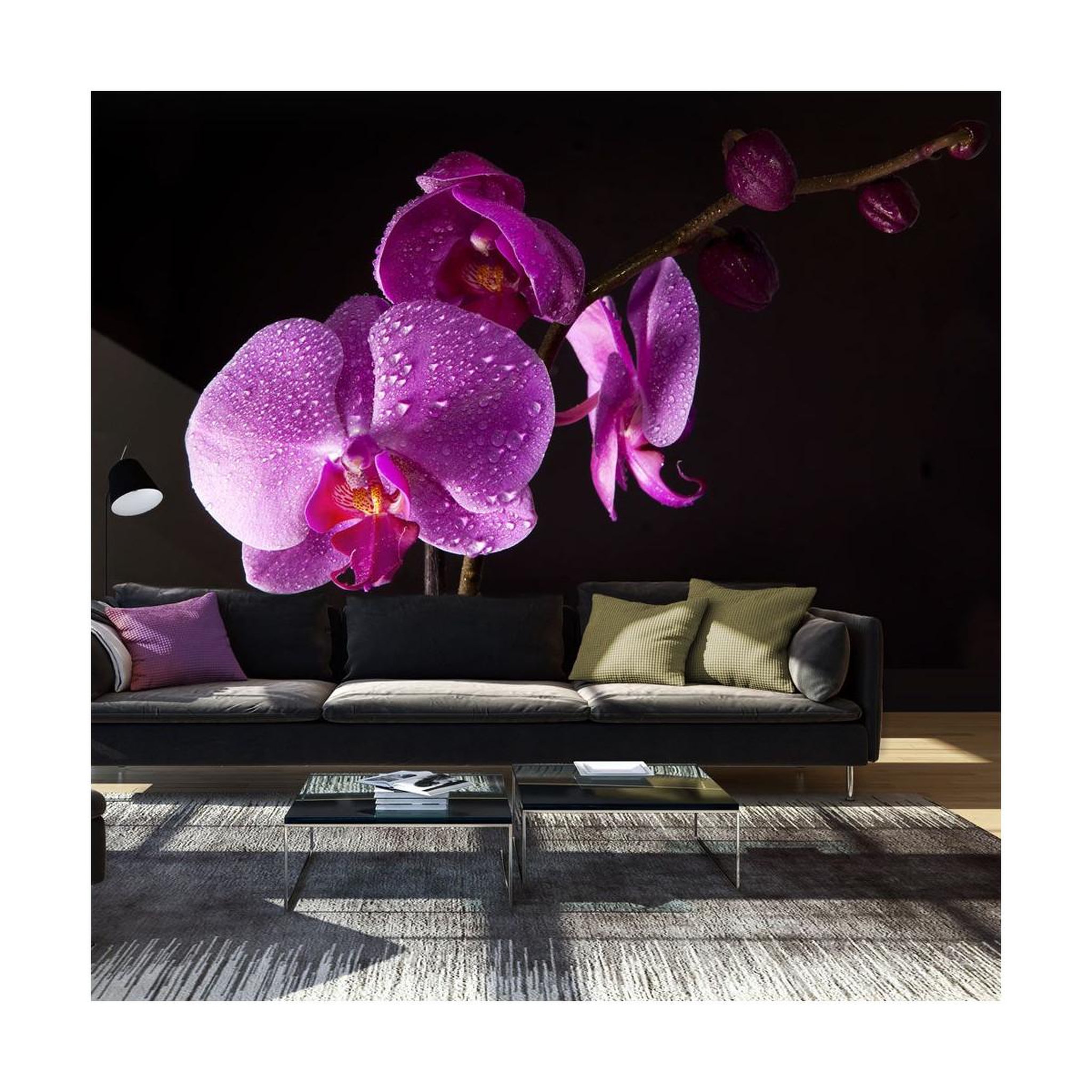 Paris Prix Papier peint  de bon goût orchidée ii  270x450cm