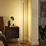 Voir la diapositive 5 : HOMCOM Lampadaire tube LED droit dimmable réglable 18W H.150cm avec télécommande acier gris