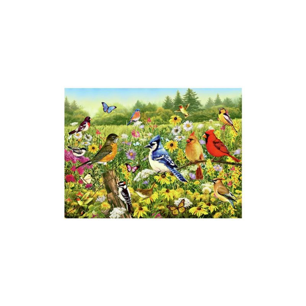 RAVENSBURGER Ravensburger - Jigsaw puzzle Birds in the Meadow, 1000 pcs. 120003366