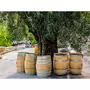 Smartbox Atelier Initiation et Dégustation Vin Biologique dans un domaine viticole - Coffret Cadeau Gastronomie